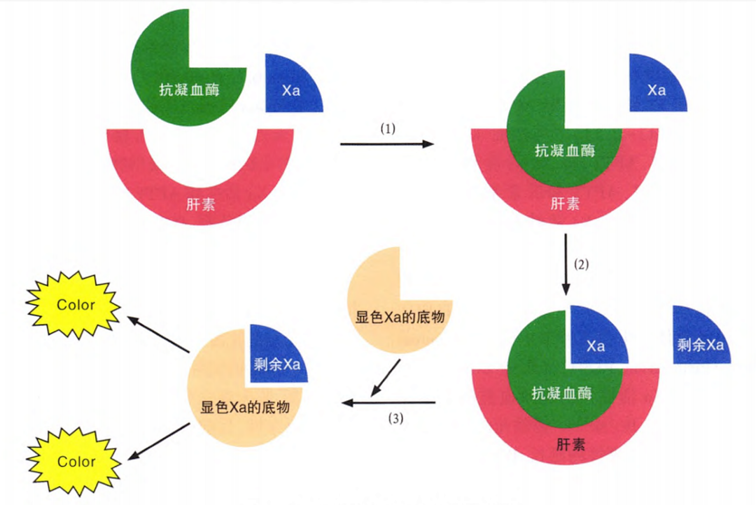 國產(chǎn)抗Xa質量如何？多中心臨床研究來告訴你！